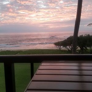 Meet your Posher, Traci